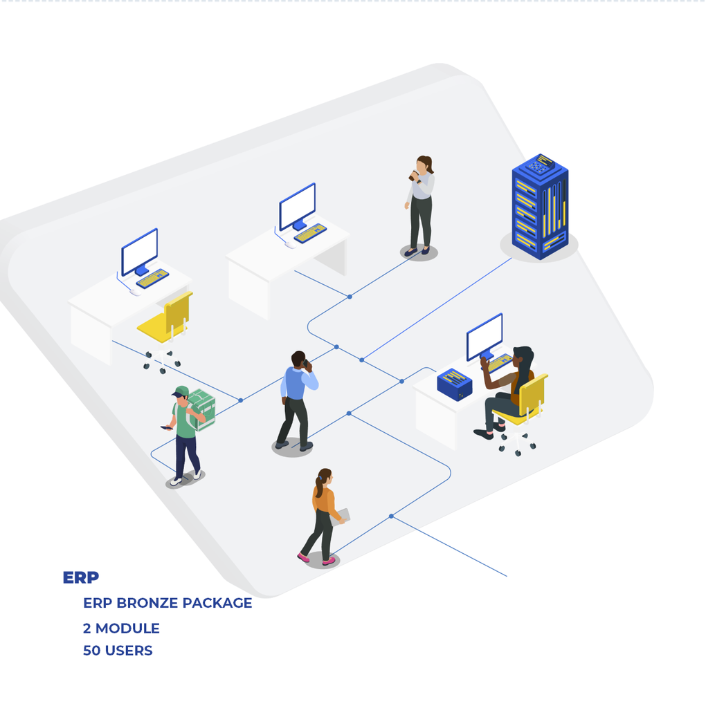 ERP Bronze Package
