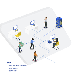 ERP Bronze Package